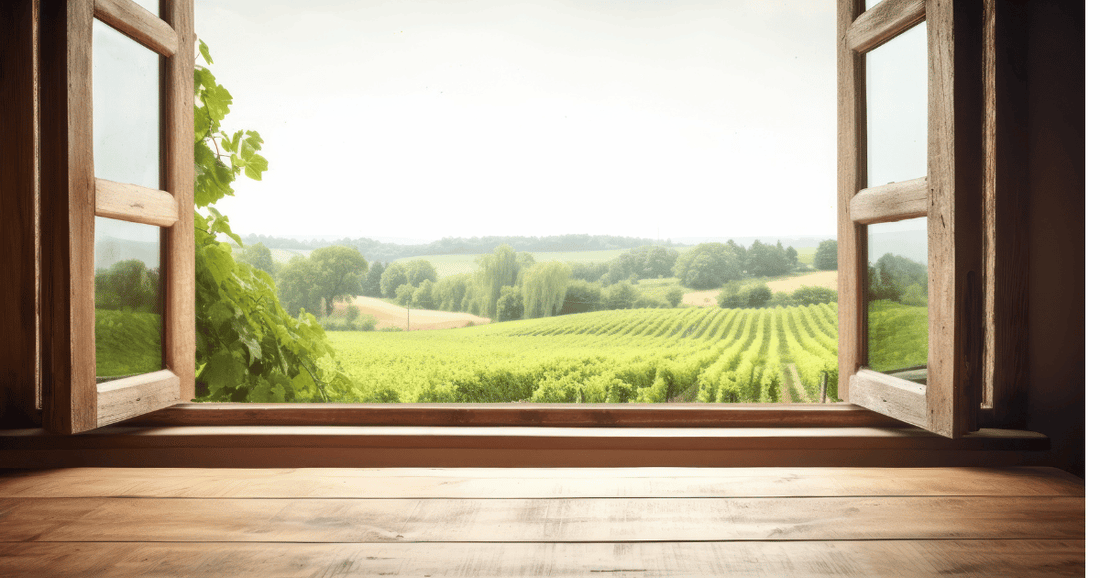 When beneficial nutrients and plant compounds like from guava leaf extracts are consumed consistently, the body receives regular input that helps reinforce balance over time.