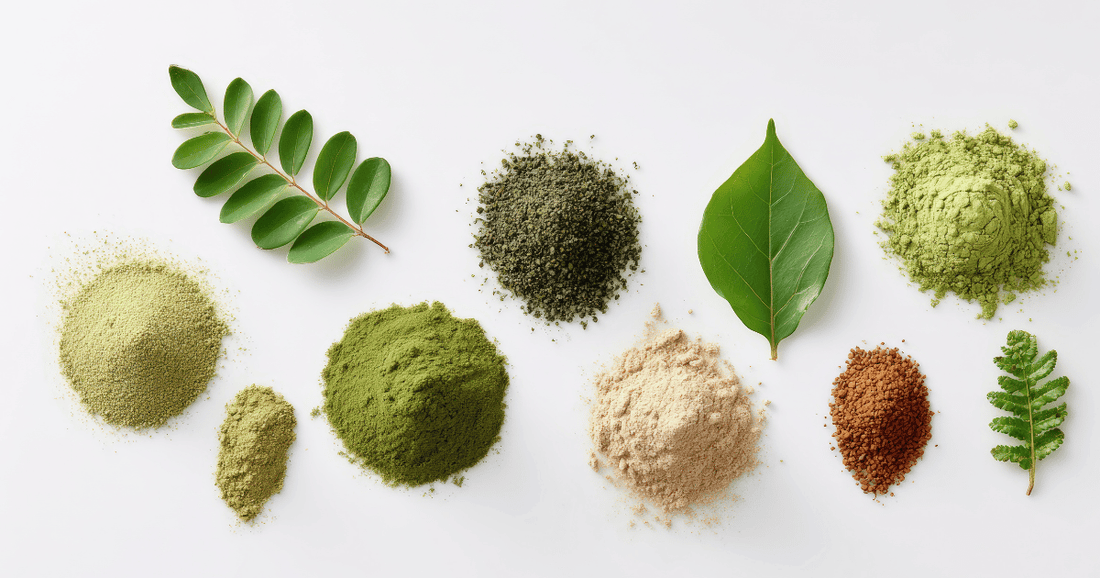 guava leaf, ginger, turmeric, and moringa contain plant compounds that help support digestion, metabolic balance