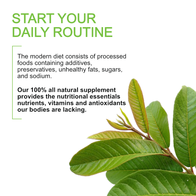 Super Naturals Daily Routine Guava Leaf+