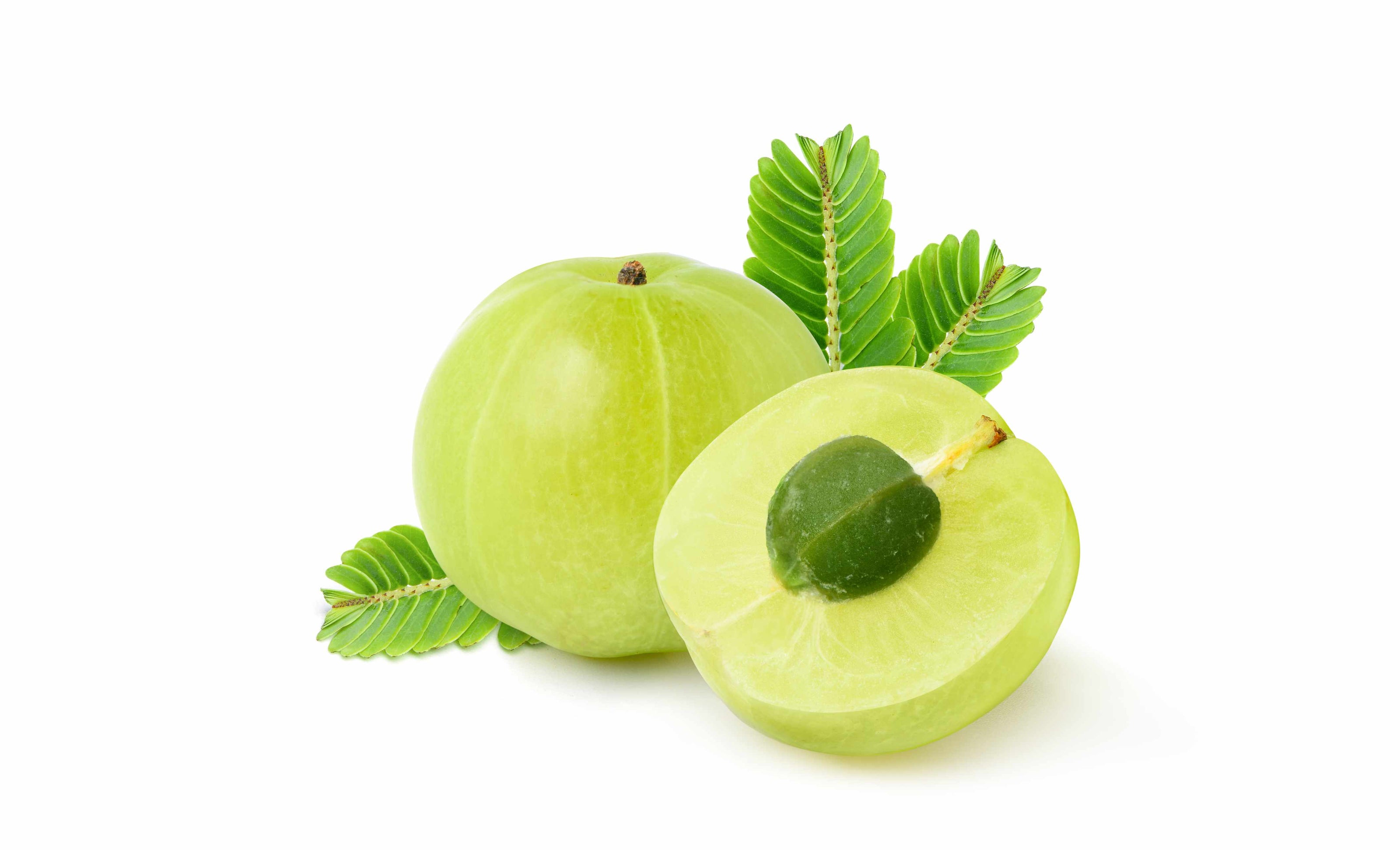Amla fruit extract rich in antioxidants and vitamin C supporting immune and overall wellness