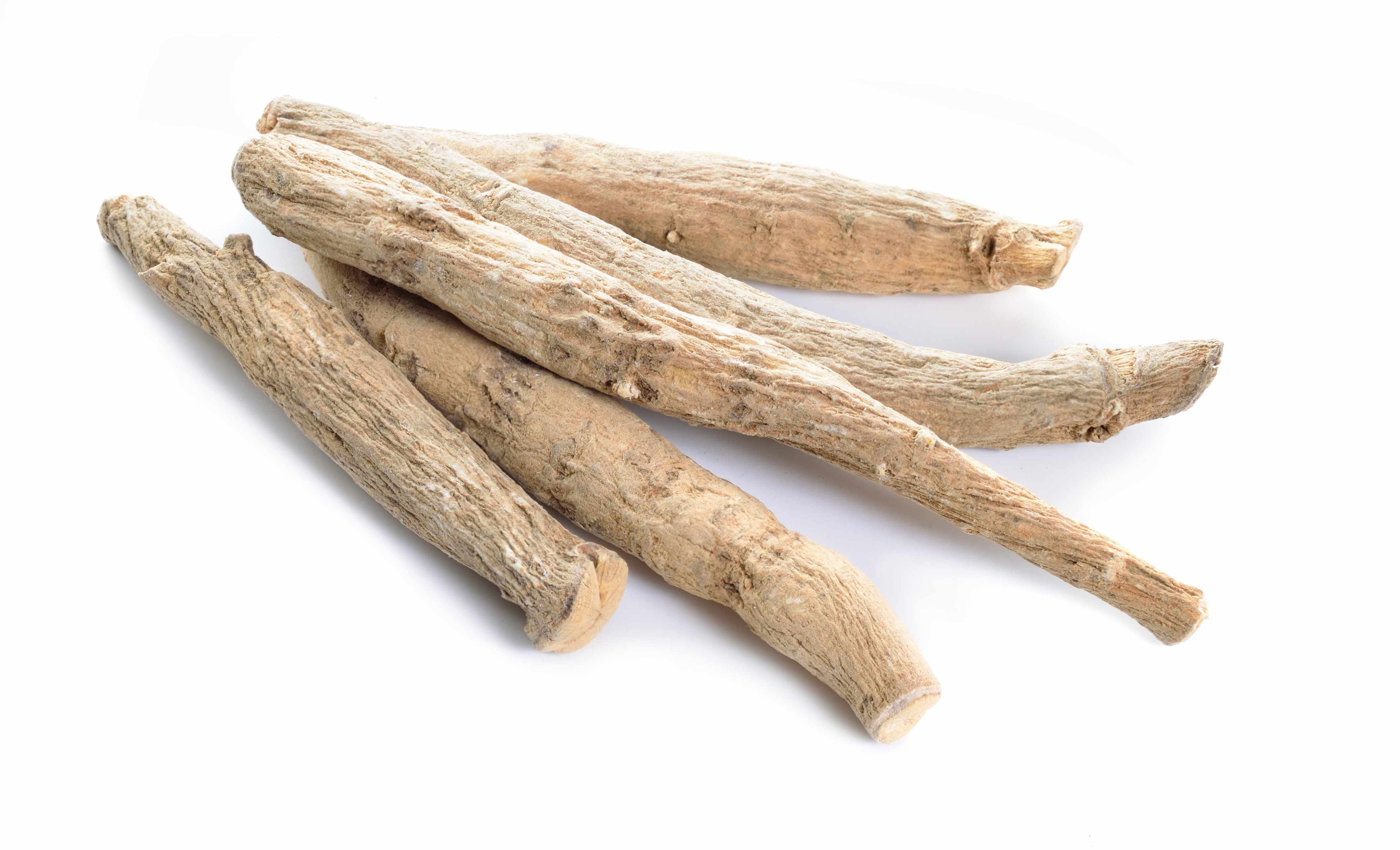 Ashwagandha root extract supporting stress balance, metabolic function, and overall daily wellness