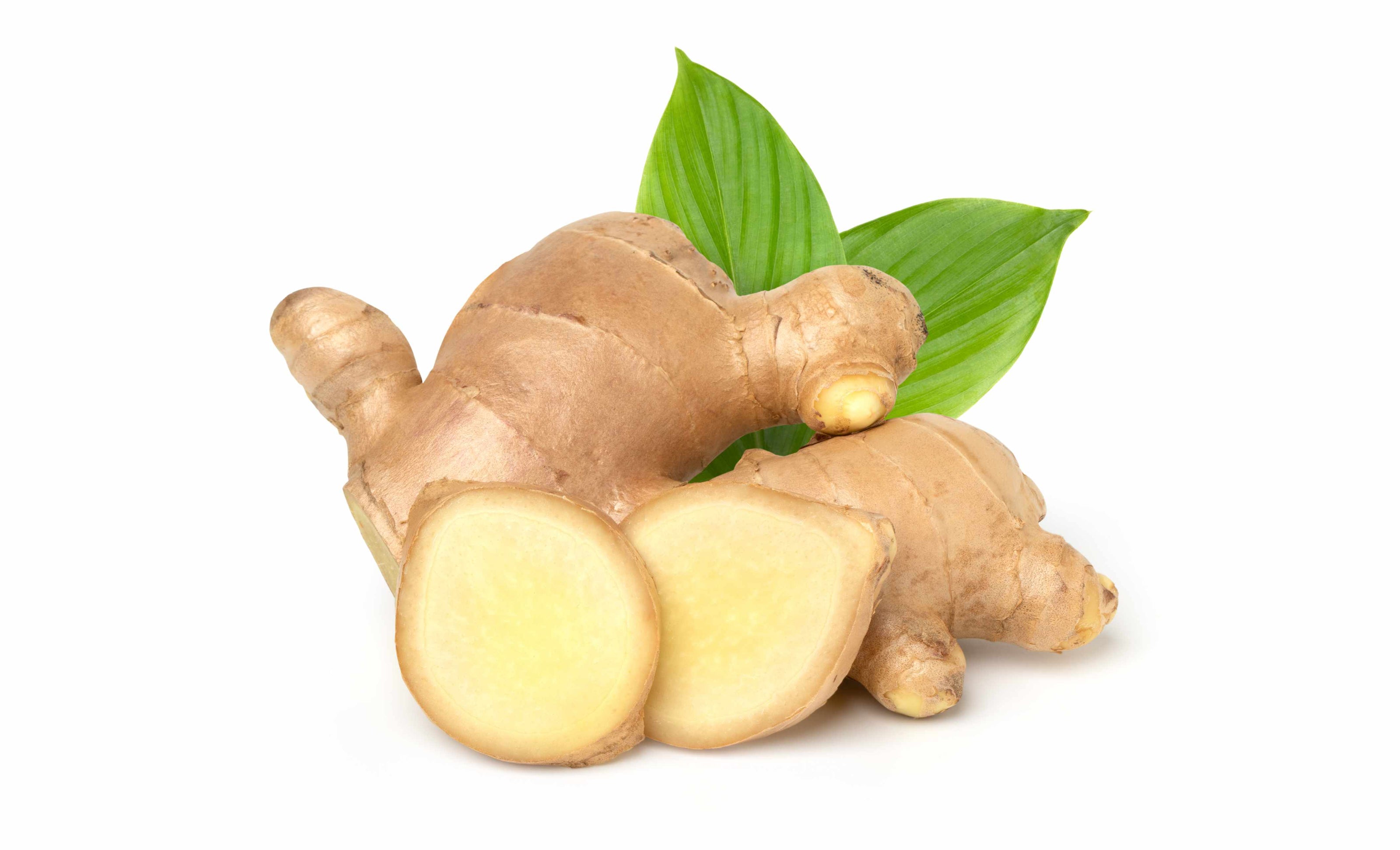 Ginger root extract supporting digestion, gut health, and natural metabolic function