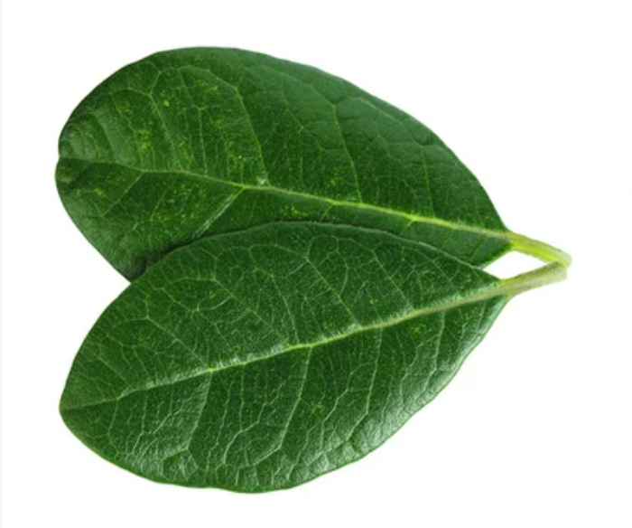 Guava leaf extract supplement supporting metabolic health, digestion, and plant-based nutrient balance